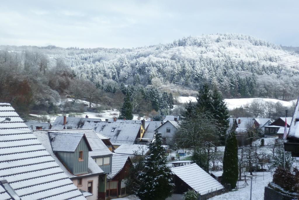 Schwarzwald Domizil Uhlsberg Apartment Kippenheim Cameră foto