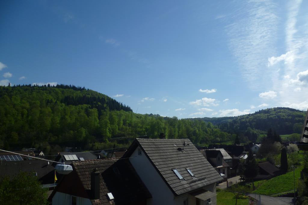 Schwarzwald Domizil Uhlsberg Apartment Kippenheim Cameră foto