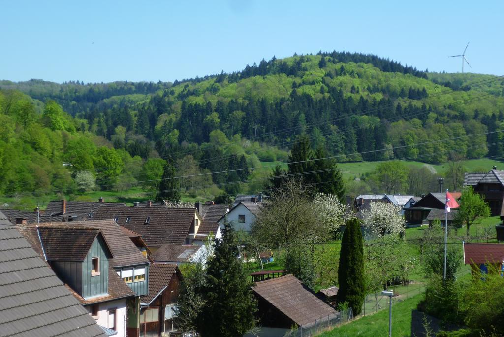 Schwarzwald Domizil Uhlsberg Apartment Kippenheim Cameră foto