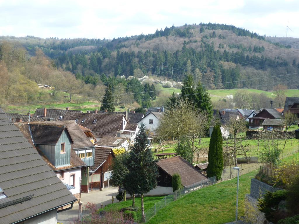 Schwarzwald Domizil Uhlsberg Apartment Kippenheim Cameră foto